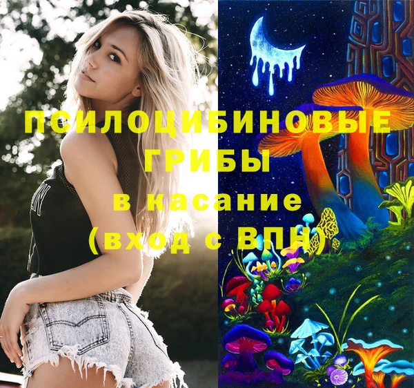тгк Гусь-Хрустальный