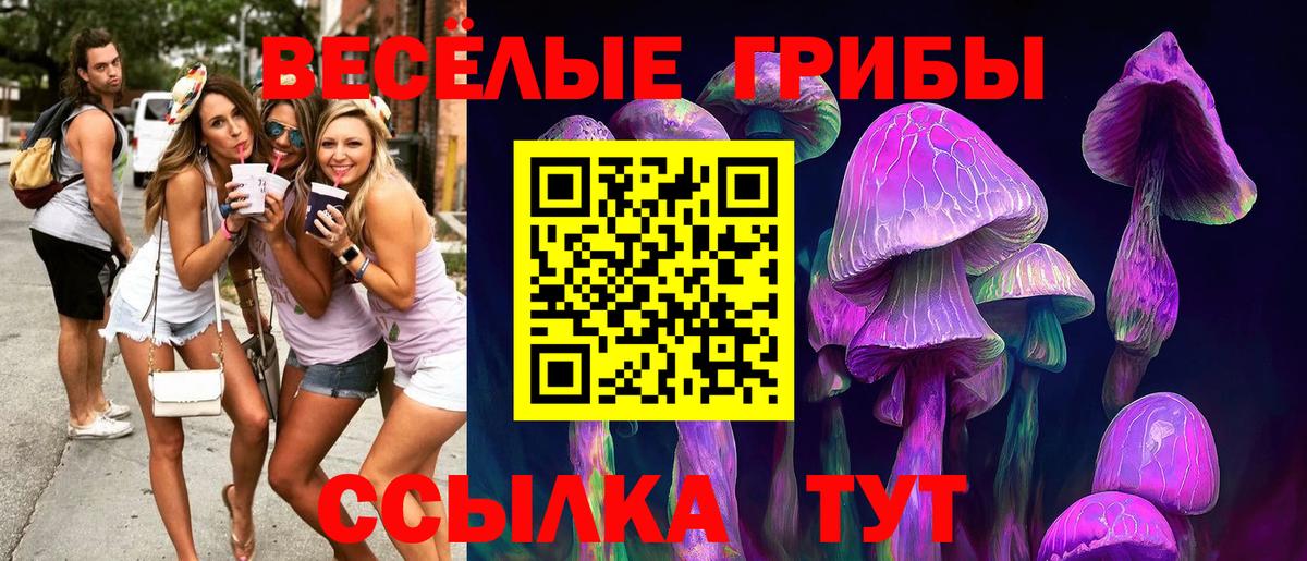 Можайск  где купить   Вход с VPN  Псилоцибиновые грибы Psilocybine cubensis 