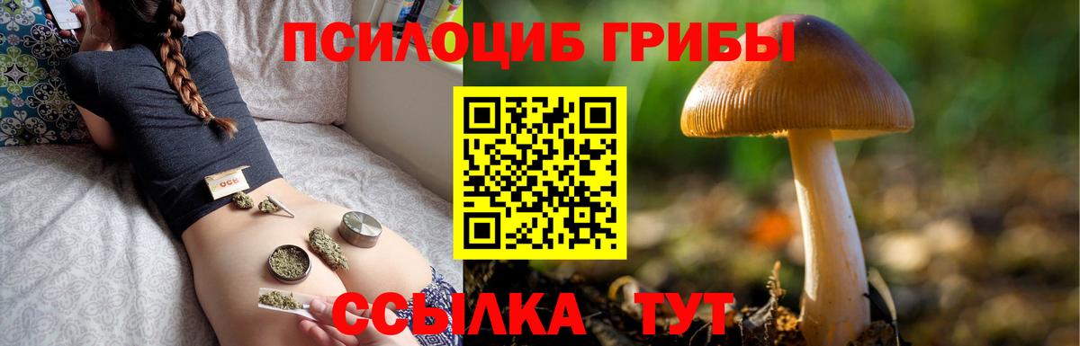 Галлюциногенные грибы прущие грибы Можайск